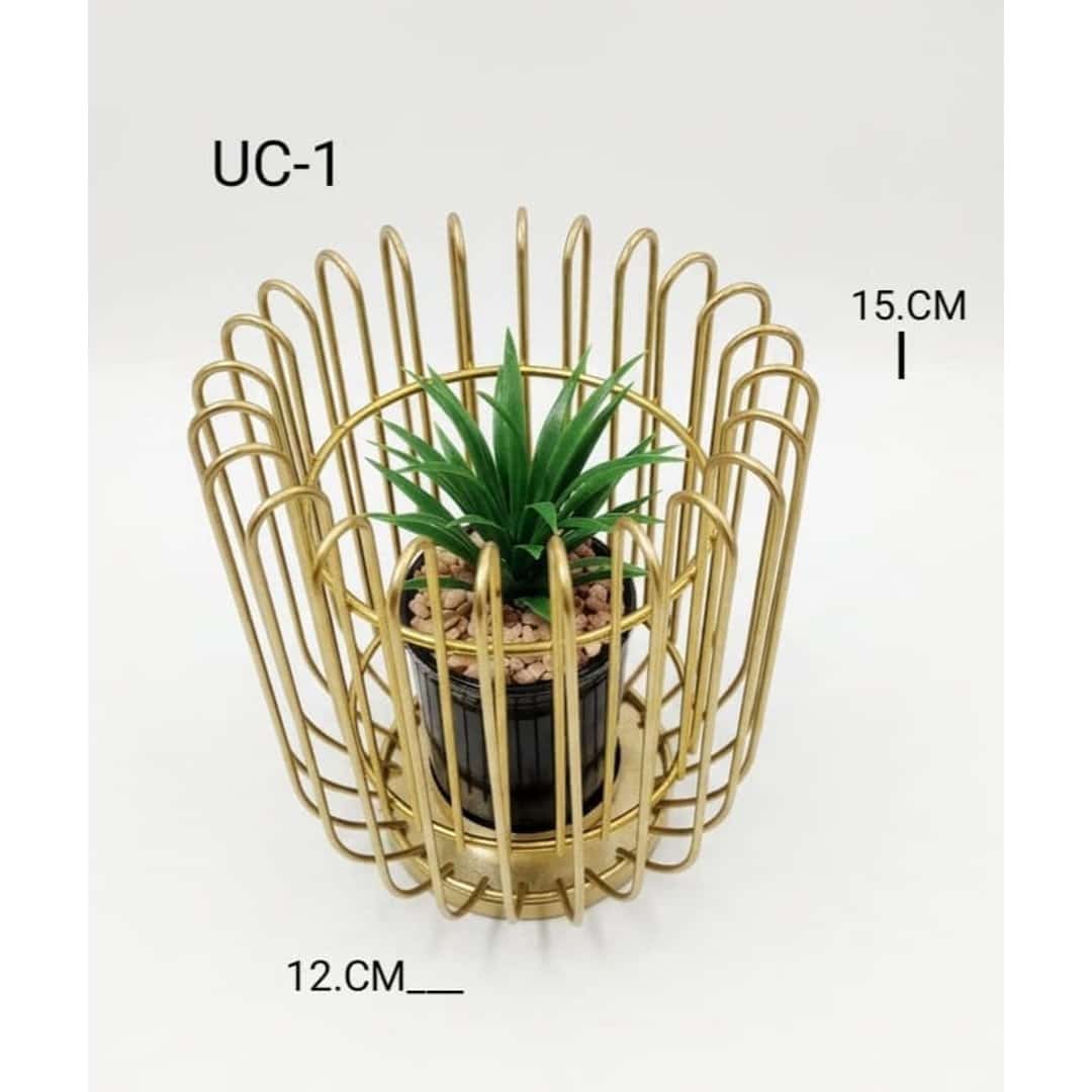 Gold Basket Plant Arrangement preview image 2