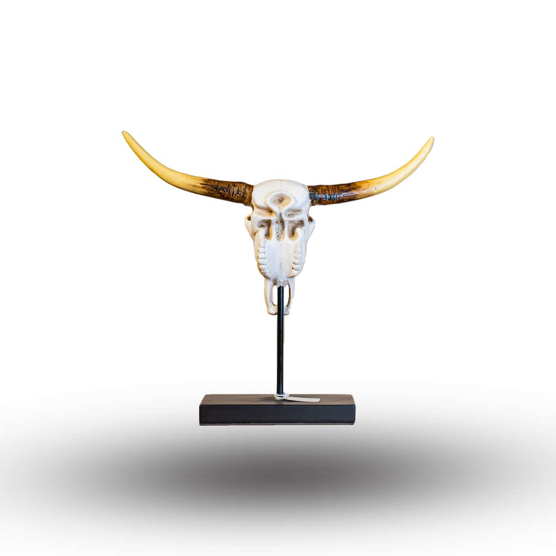 Rustic Longhorn Skull Display